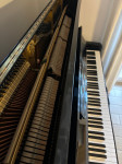 Pianino Yamaha U3