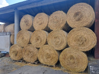 Seno okrogle bale 125cm