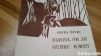 PAVEL ŠIVIC ZDIGEL SE JE GUBEC KMET