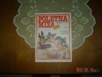 Poletna miza