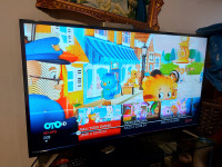 LCD TV Strong 102 cm