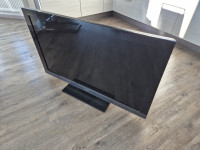 Sony LCD TV diagonala 115 cm