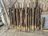 Koli iz akacijevega lesa