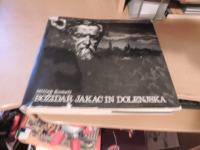 BOŽIDAR JAKAC IN DOLENJSKA M. KOMELJ DITC 1981