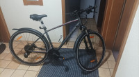 Specialized CrossTrail 2019 M