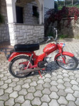 Tomos APN 4 50 cm3