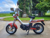 Tomos Youngster  49 cm3