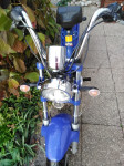 Tomos Youngstr 25