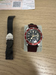 Tudor BlackBay kot nova