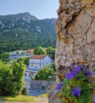 ISTRA, LABIN - Hiša in poslovni prostor