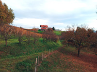 Lokacija hiše: Nova Gora, 100.00 m2