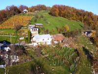 Manjše posestvo na odlični lokaciji z razgledom blizu Šentjurja