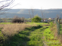 Posest, Obalno-kraška, Šmarje, Puče, kmetijsko zemljišče, 1300,00 m...