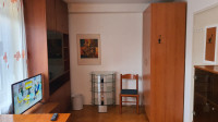 Soba v kraju Brinje, Stopnja opremljenosti: V celoti, 14 m2
