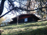 Pašnik in gozd v bližini Tomaža nad Vojnikom, cca. 5000 m2