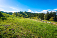 Zazidljivo zemljišče, Ribnica na Pohorju, 5327,00 m2