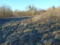 Zemljišče Lindar, Pazin - Okolica, 5.961m2