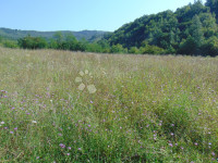 Zemljišče Mrgani, Kanfanar, 890m2