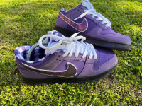 Nike Dunk SB purple lobster