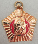 Gasilska medalja 6