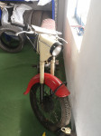 Moped Radexi