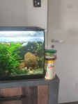 Akvarij fluval flex 56l