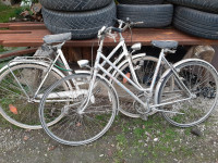 Stara kolesa rog