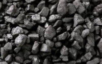 Premog črni prodam