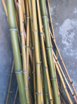 Bambus palce