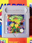 Battletoads in Ragnarok's World (Nintendo Game Boy)