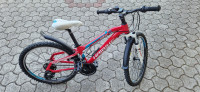 Haibike 24" gorsko otroško kolo