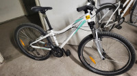 Mladinsko kolo Specialized, 26 col