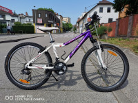 MTB Genesis 24"