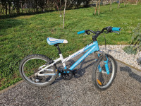 Otroško kolo Schwinn mini mesa 20 col