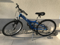 Schwinn 24 col