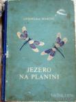 JEZERO NA PLANINI - MARTIĆ