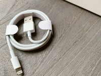 Apple iPhone polnilni kabel USB – Lightning 1m, bel NOVO!