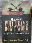 Why teams dont work: Harvey Robbins&Michael Finely