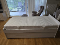 Ikeina postelja släkt z dodatnim ležiščem