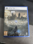 PS5 Hogwarts Legacy - NOVO