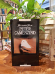 Hermann Hesse: Peter Camenzind