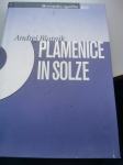 PLAMENICE IN SOLZE