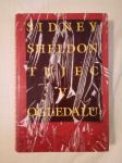 TUJEC V OGLEDALU (Sidney Sheldon)