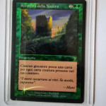 Nature reasurgance Foil- Magic the gathering