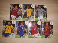 Panini Adrenalyn XI World Cup Brazil karte