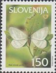 SLOVENIJA - (MI.405)  MALI ZIMSKI PEDIC