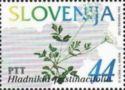 SLOVENIJA - (MI.83)  HLADNIKA