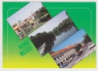 Novo mesto 1988