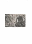Škocjanske jame-vhod-1907 (81)