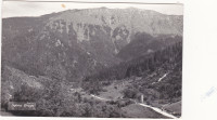 Stara razglednica Dolina Draga iz 50tih let